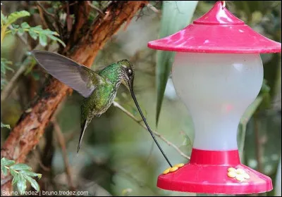 Je ne veux surtout pas être méchant avec ce monsieur, mais j'évite de lui parler en face, il ...