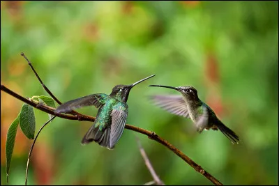 Les gens me regardent bizarrement, l'air de dire, celui-là, il vit dans un endroit isolé, ...