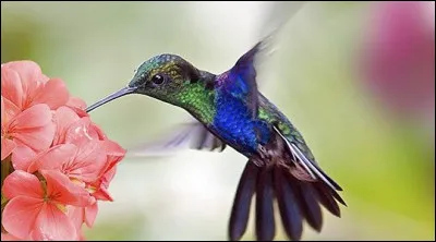 Le mieux dans ces cas-là, c'est de ...