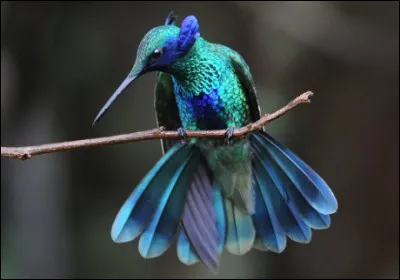 Ou alors vous avez la solution de ...