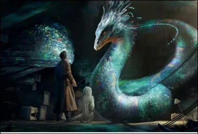 Quelle est ta qualité sportive ?