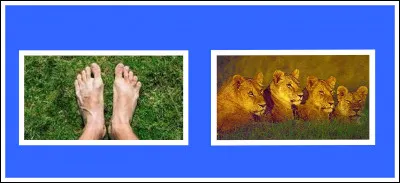 À partir de ces deux indices, trouvez la bonne réponse.