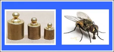 À partir de ces deux indices, trouvez la bonne réponse.