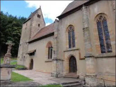 Vous avez sur cette image l'&eacute;glise Saint-Jacques-le-Majeur de Reipertswiller. Commune du Grand-Est, dans le parc naturel r&eacute;gional des Vosges du Nord, elle se situe dans le d&eacute;partement ...