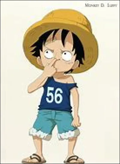 Combien de fr&egrave;res a Luffy ?