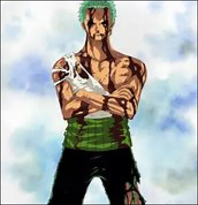 O&ugrave; Zoro s'est-il sacrifi&eacute; pour Luffy ?