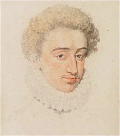 Ce prince béarnais fut le premier roi de la dynastie des Bourbons.