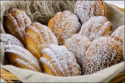 Proust avait la sienne, quelle est leur ville d'origine ?