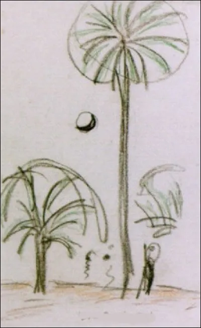 À qui appartiennent ces palmiers" ?
