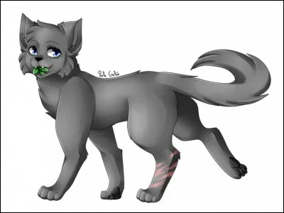 Tu t'es gravement bless&eacute;. Ton destin peut &ecirc;tre chang&eacute;...