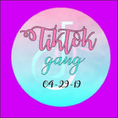 Tu ferais un TikTok...