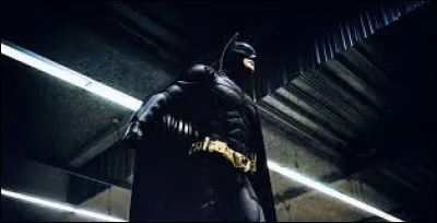 Quel animal est associé au héros Batman ?