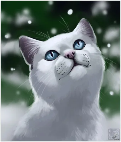 Qui est le mentor de Nuage de Neige ?