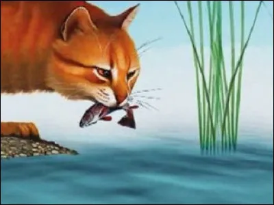 Qui est le mentor de Nuage de Léopard ? (Clan du Tonnerre)