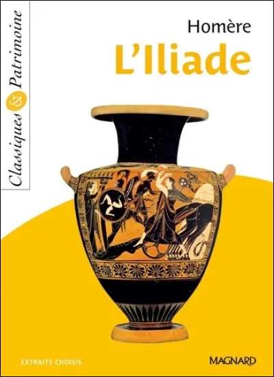 De quoi parle l'Iliade ?