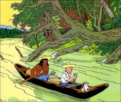 Quelle oreille du ftiche est abime dans L'Oreille casse ?