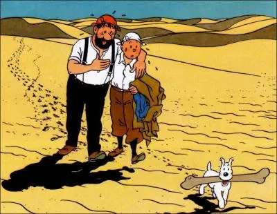 Dans quelle aventure Tintin rencontre-t-il le capitaine Haddock ?