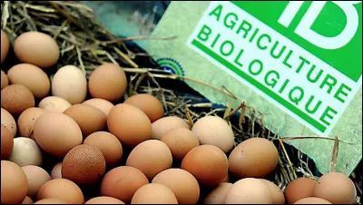 Quel premier chiffre désigne les oeufs issus de l'agriculture biologique en Europe ?