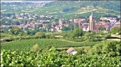 Ville du Jura, connue pour son vin et pour Louis Pasteur :