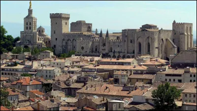 Ville bordée par le Rhône, ancienne cité des papes :