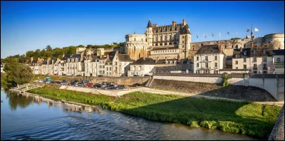 Ville bordée par la Loire, célèbre par le château qui la domine :