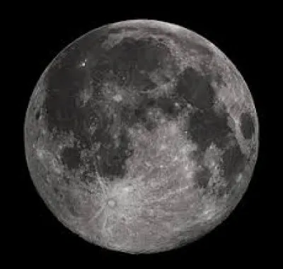 Quel est le premier plat que Armstrong, Aldrin et Collins ont mangé en arrivant sur la Lune ?