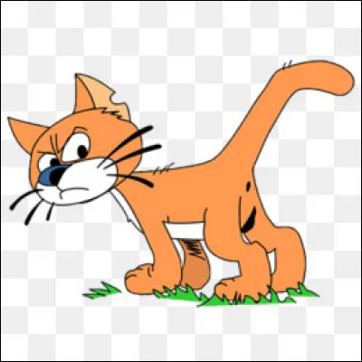 Et enfin à qui appartient ce chat ?