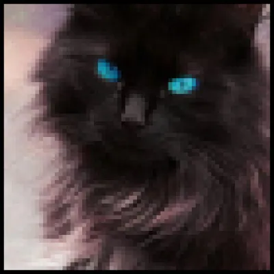 Quel chef admires-tu ?