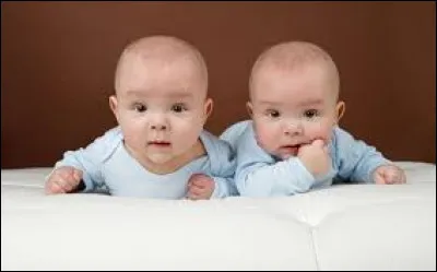Science - Les vrais jumeaux ont des empreintes digitales identiques.