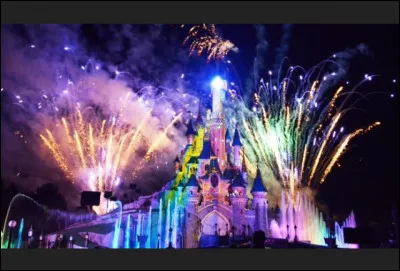 Enfin les vacances et tu vas dans un parc d'attractions. Quelle attraction fais-tu en premier ?