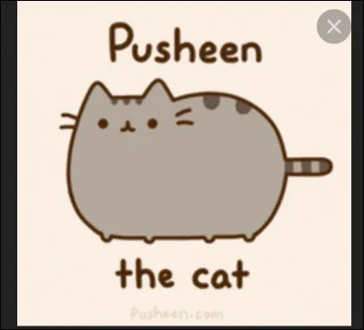 Tu aurais plutôt quoi comme animal de compagnie ?