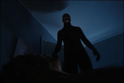 Quel est le nom de la faculté de voir dans la pénombre (vision crépusculaire ou nocturne) ?