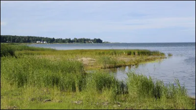 Quel golfe, faisant partie de la mer Baltique, borde Saint-Pétersbourg, deuxième ville de Russie et ancienne capitale des Tsars ?