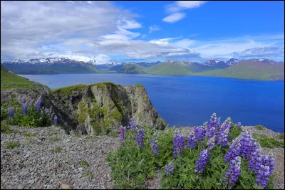 La Russie, ce n'est pas que le continent ; ce sont aussi des îles, principalement dans l'océan Arctique. Parmi ces archipels, lequel n'est pas russe et ne se situe pas dans l'océan Arctique ?