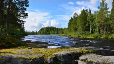 À quel type de végétation la taïga, très présente en Sibérie et dont le nom provient d'ailleurs du russe, correspond-elle ?