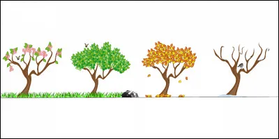 Complétez cette phrase : "En France ... est en mars, en avril, en mai.