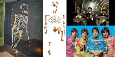 Maintenant, on sait (probablement) comment est morte notre ancêtre Dinqnesh (que vous connaissez sous un autre nom et ceci grâce aux Beatles !) ! En fait, on peut dire que l'anthropologue John Kappelmana a résolu un « cold case » vieux de 3,4 millions d'années !
Qui est Dinqnesh ?
Comment est morte cette personne ?