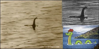 Sur la base d'une photo floue, un scientifique nomma cette « bestiole », « Nessiteras rhombopteryx » ! Il semblerait que ce nom dévoile la pensée principale du scientifique à son sujet !
Quelle est cette bestiole ?
Qu'est-ce qui la caractérise ?