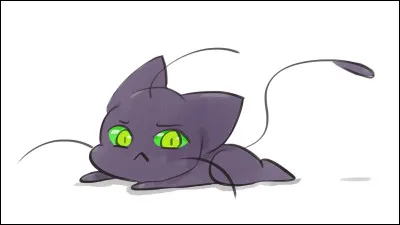 Comment s'appelle le kwami de Chat noir ?