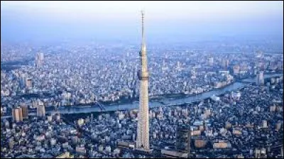 Quelle est la ville la plus peuplée du monde ?