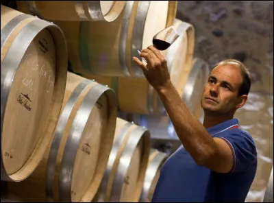 Quel est le nom de l'expert spécialiste de la science liée à la culture de la vigne, mais aussi à l'élaboration, la dégustation et la conservation du vin ?