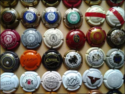 Comment s'appelle le fait de collectionner les plaques de champagne ?
