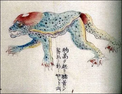 Quelle est la taille moyenne d'un kappa ?