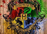 Test Qui pourrait tre ton (ou ta) meilleur(e) ami(e) dans 'Harry Potter' ?