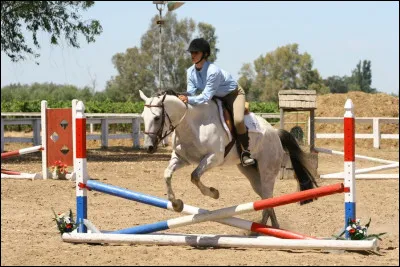 Tu as réussi à contrôler un galop interminable avec ta jument, et tu essaies un saut (excellent d'ailleurs). Ta monitrice te propose de repasser, mais tu sens que ta monture est énervée encore et laisses tomber. Explique ce choix.