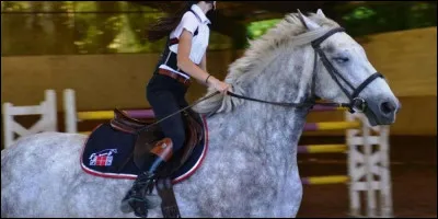 Tu es arrivé pour préparer ta monture en avance, mais elle est déjà en reprise. Tu peux donc observer son comportement : mauvaise écoute envers le cavalier, ruades, le cavalier laisse faire les arrêts soudains etc. Pourtant, quand vient ta reprise, c'est un "autre" cheval. Ta manière de communiquer avec ton cheval n'est pas du tout la même. Des différences qui pourraient affecter...