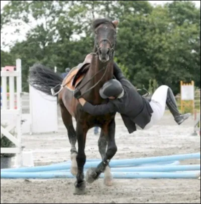 Tu es au galop, ta monture est relaxée et soudainement, elle part au vrai galop. Elle a eu peur parce qu'un autre cheval a eu peur... Bref, ce mouvement soudain te déséquilibre et tu te retrouves accroché à l'encolure de ton cheval. Que faire dans un tel cas ?