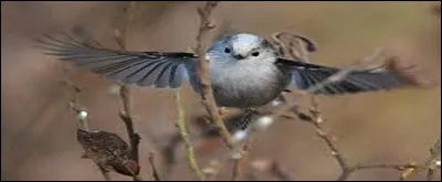 Suis-je sédentaire ?