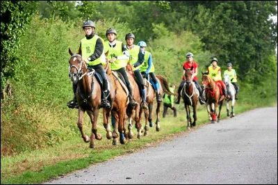 Quel est le synonyme de ''avant-avant-dernier'' ?