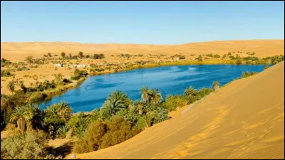 De quel genre est le mot "oasis" ?